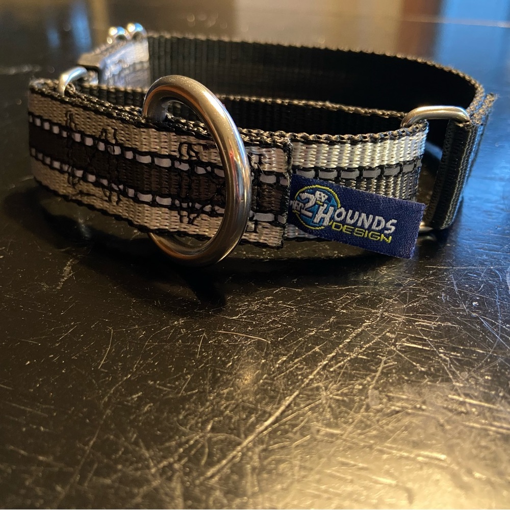2Hounds Design Black Reflective Martingale Dog Collar 10-14 inches